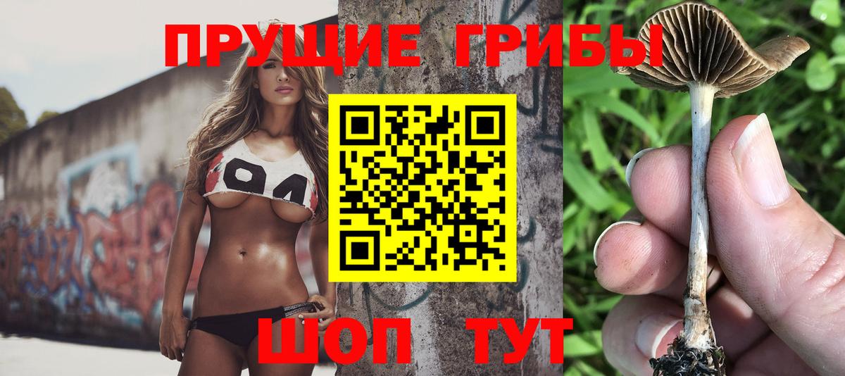 Сатка  Галлюциногенные грибы Psilocybine cubensis  Псилоцибиновые грибы ЛСД  Вход с VPN 